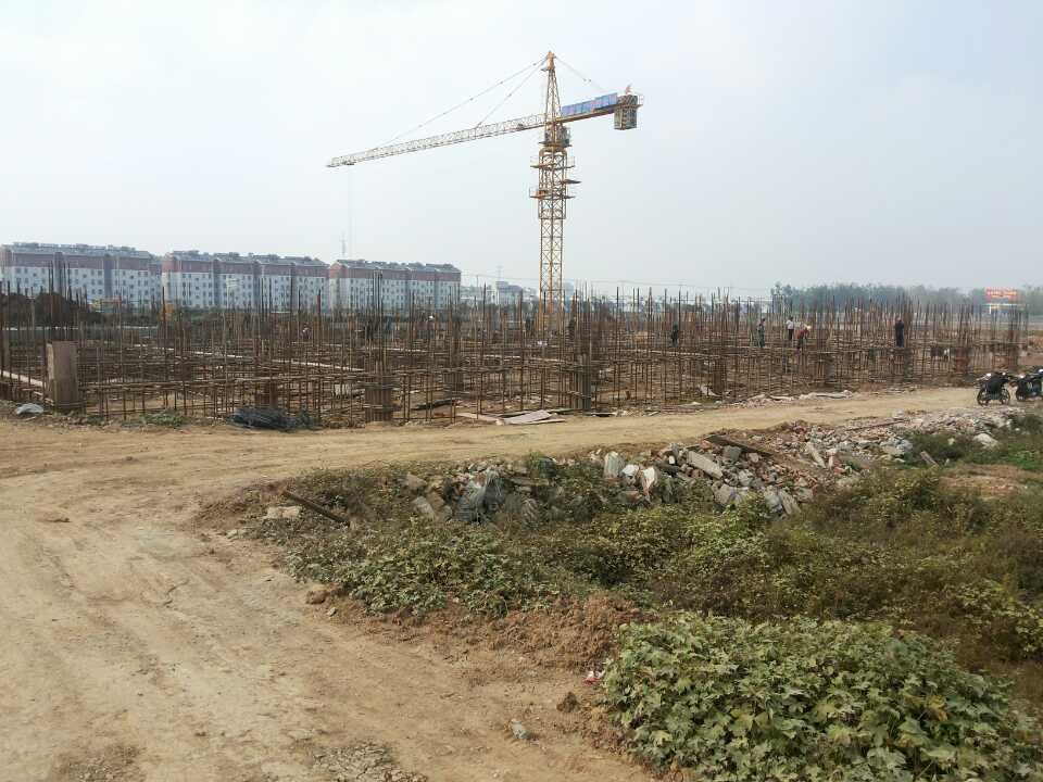 点击欣赏第7张图片